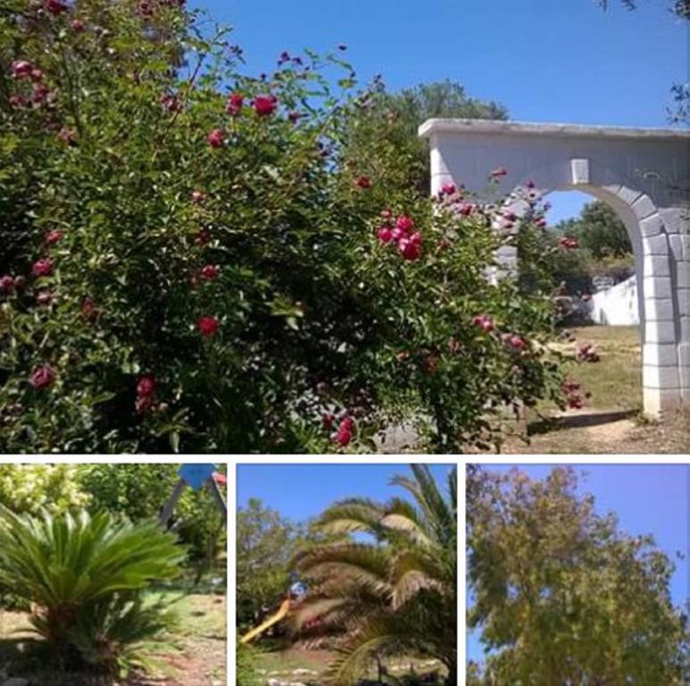 Trulli Aurasia Остуні Екстер'єр фото